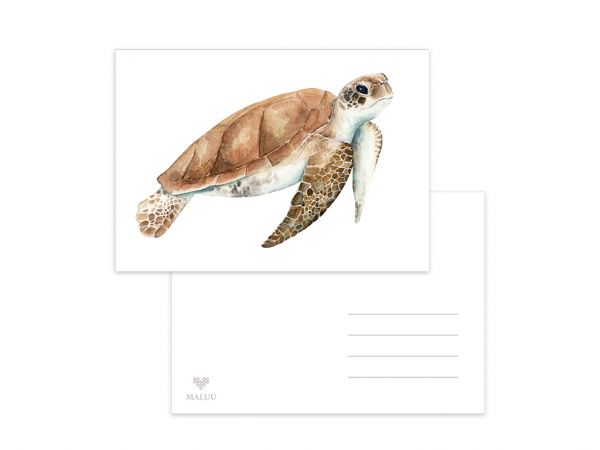 MALUU - SEA TURTLE Postkarte Schildkröte A6