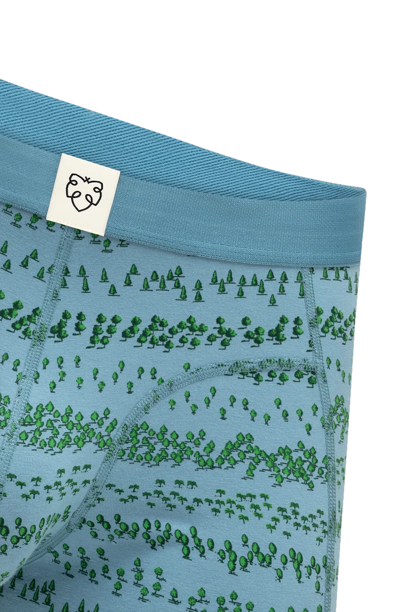 ADAM-blue-forest2
